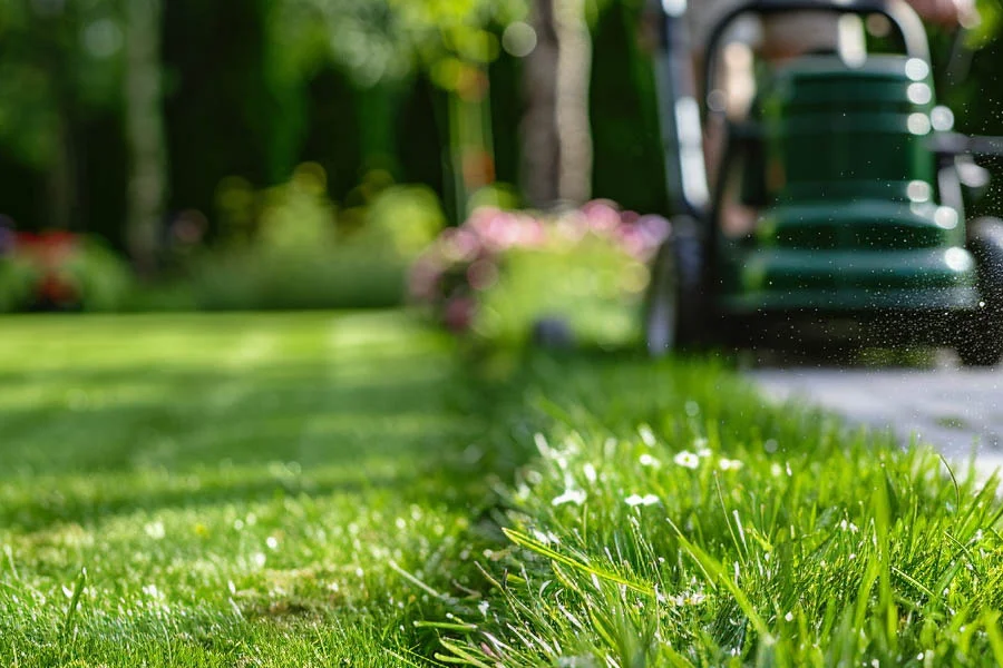 cordless electric self propelled mower