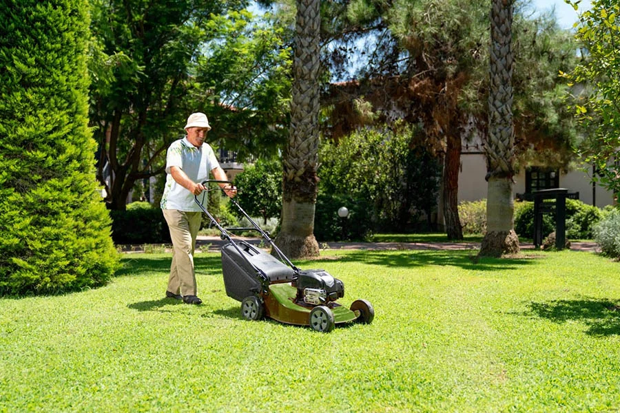 cordless electric self propelled mower